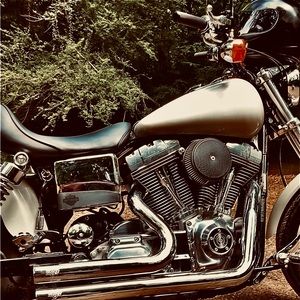 Meet your Posher, Sturgis